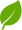 leaf image